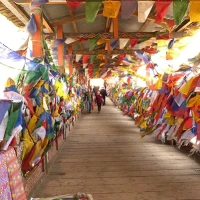 Why the 9-Day Haa Festival Tour Is Bhutan's Most Authentic Cultural Experience
